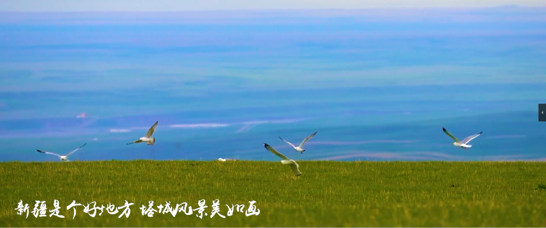 &#21326;&#20307;&#20250;&#20307;&#32946;&#40;&#20013;&#22269;&#41;