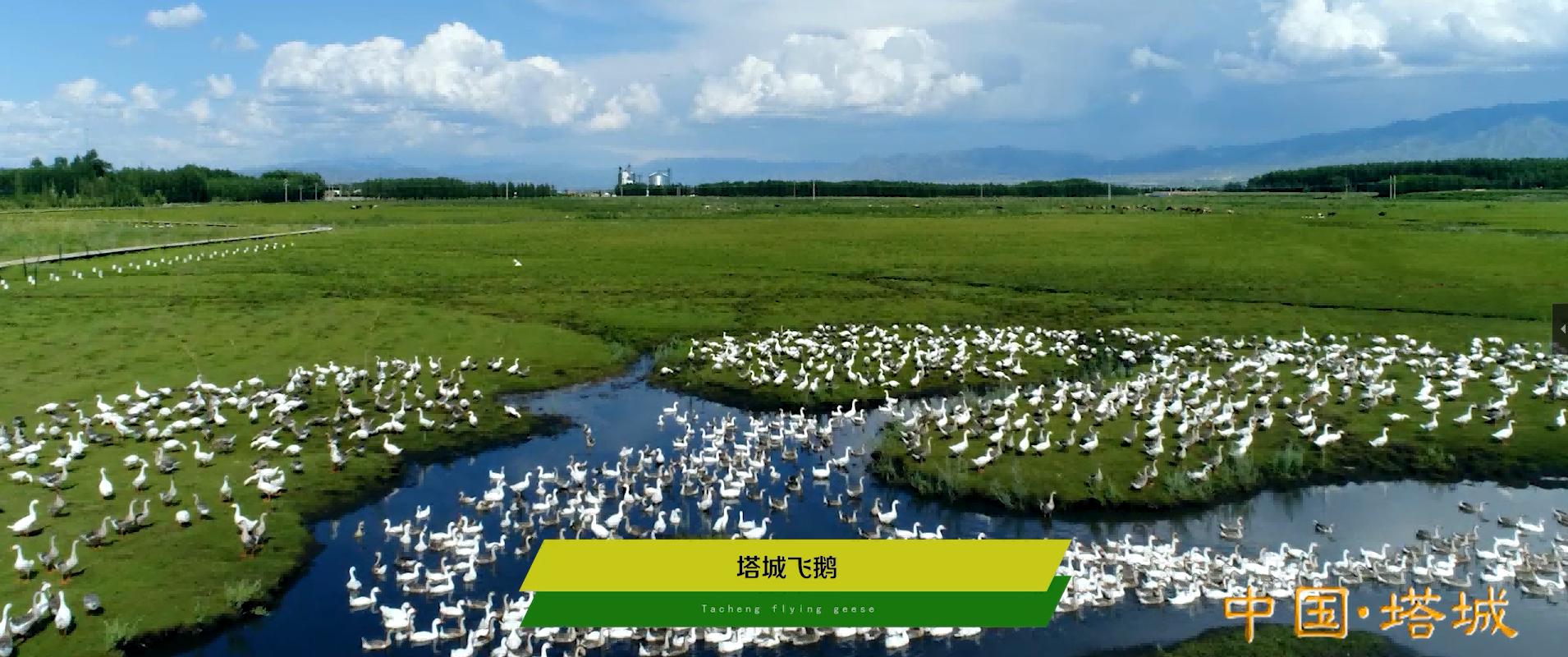 &#21326;&#20307;&#20250;&#20307;&#32946;&#40;&#20013;&#22269;&#41;